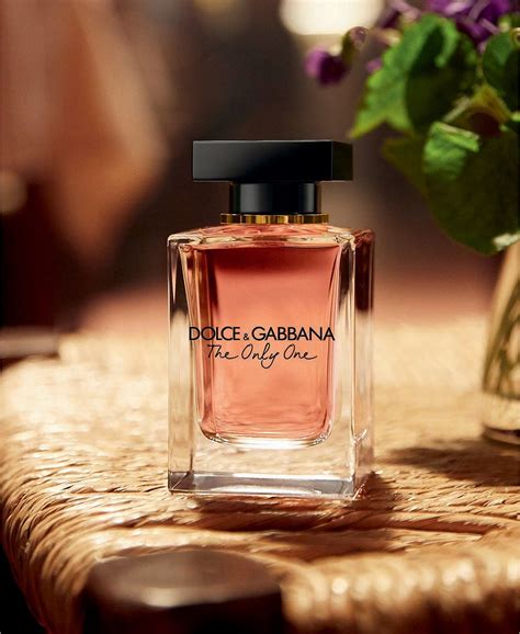 dolce gabbana perfume review.